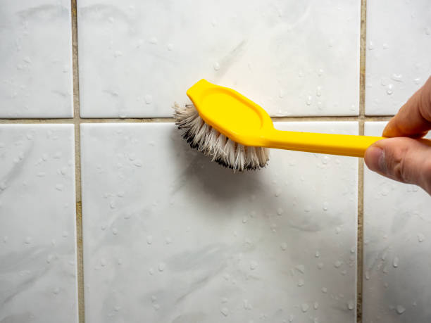 Best Mold Remediation Services  in Mount Pleasant, UT