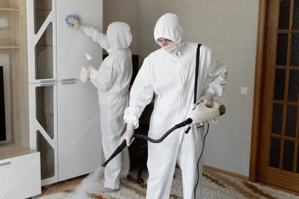Mold Removal Process in Mount Pleasant, UT