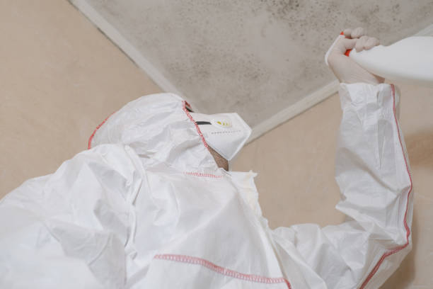 Best Mold Testing  in Mount Pleasant, UT