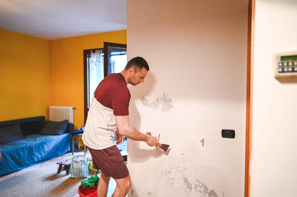 Home Mold Removal in Mount Pleasant, UT